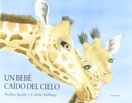 Un Bebé Caído Del Cielo (Bolsillo – Rustica)
