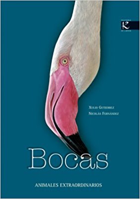 Bocas: Animales Extraordinarios