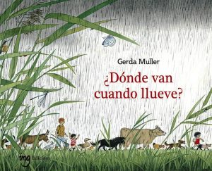 Donde Van Cuando Llueve?