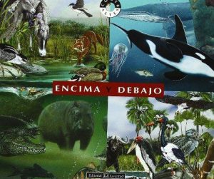 Encima Y Debajo