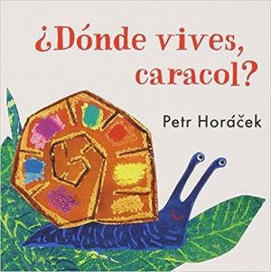 Donde Vives Caracol?