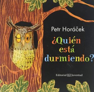 Quién Está Durmiendo?