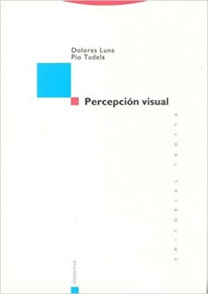 Percepción Visual