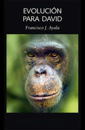 Evolución Para David