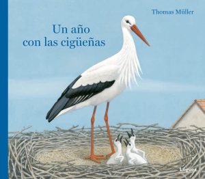 Un Año Con Las Cigueñas