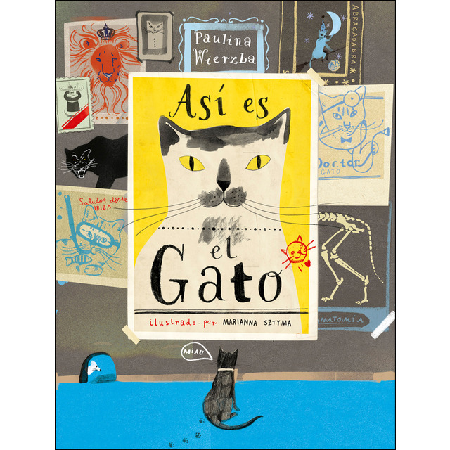 Así Es El Gato
