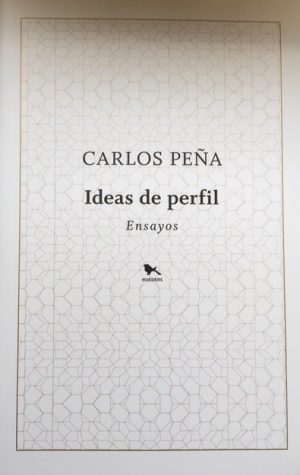 Ideas De Perfil