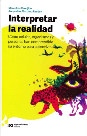 Interpretar La Realidad