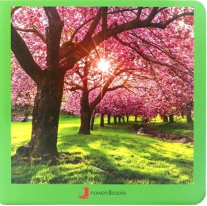 Primavera