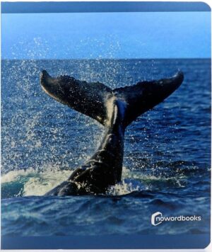Los animales del mar