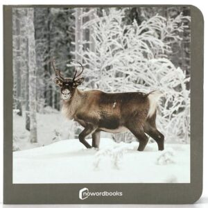 Animales polares