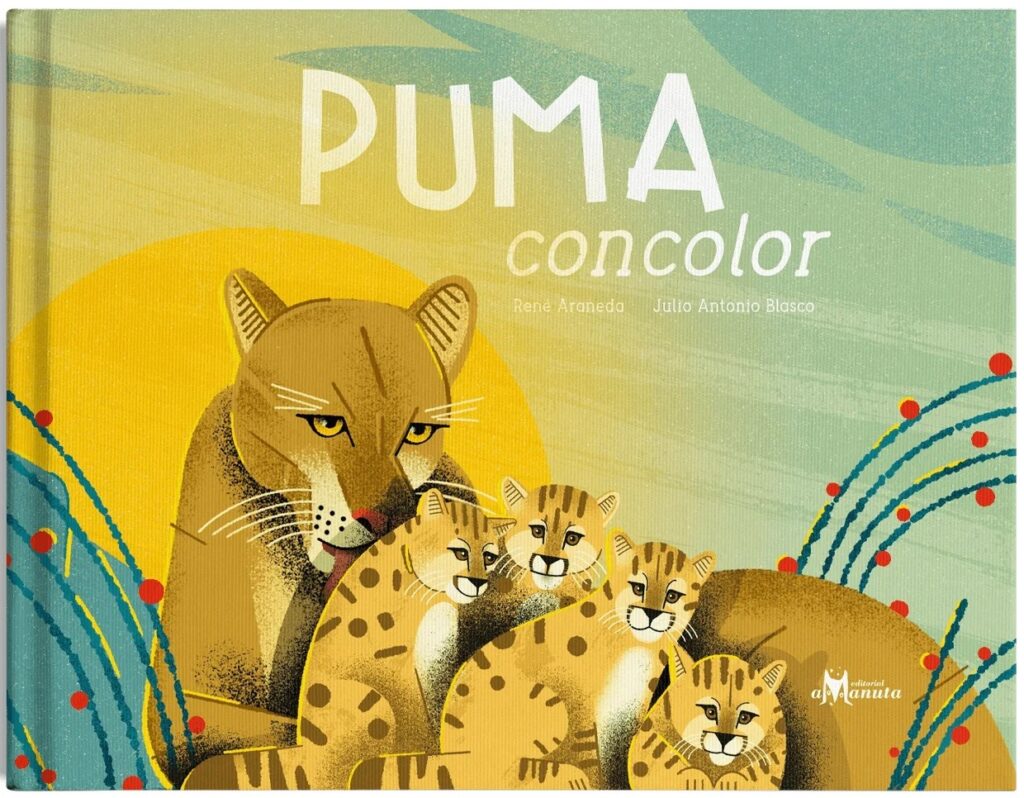 Puma concolor