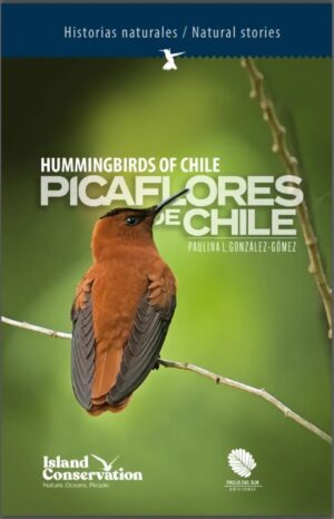 Picaflores de Chile