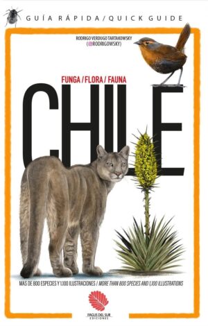 Chile, una guía rápida