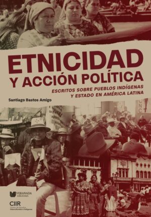 Etnicidad y acción política : Escritos sobre pueblos indígenas y Estado en América Latina