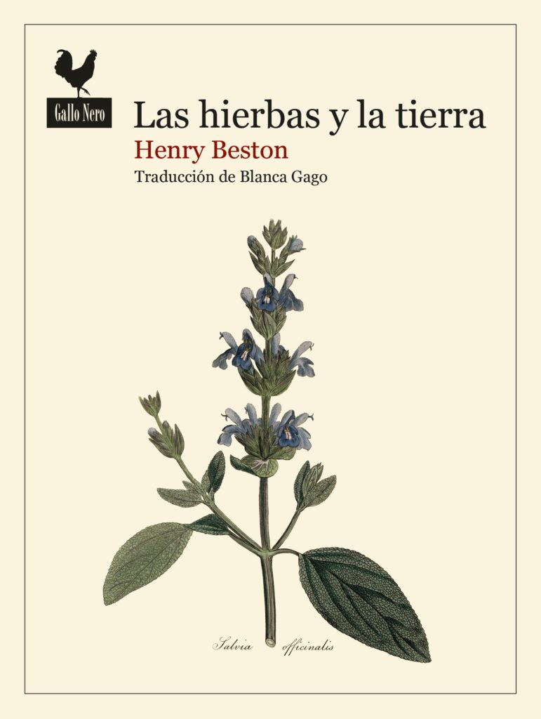 Las hierbas y la tierra